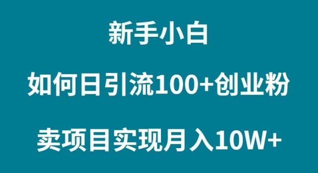 (9556期)新手小白如何通过卖项目实现月入10W+-海旭网创