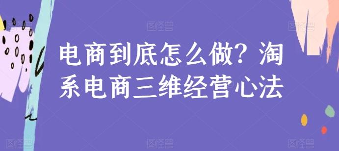 电商到底怎么做？淘系电商三维经营心法-海旭网创