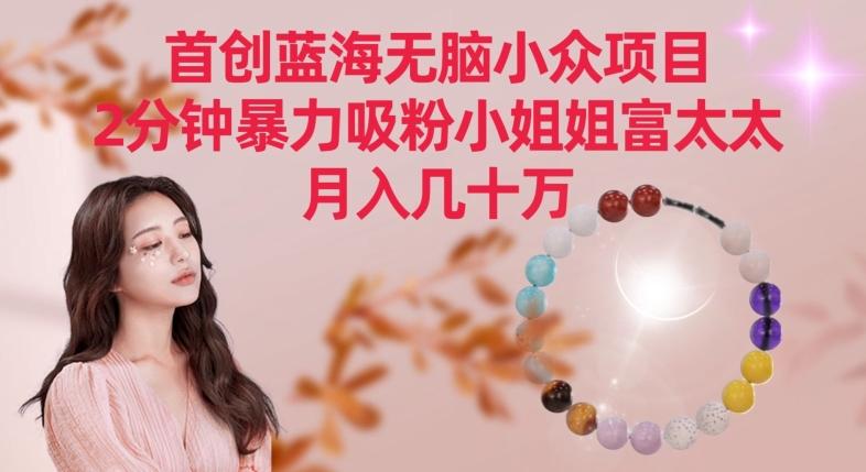 首创蓝海无脑小众项目，2分钟暴力吸粉小姐姐富太太，月入几十万【揭秘】-海旭网创