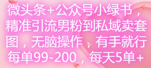 微头条+公众号小绿书，精准引流男粉到私域卖套图，无脑操作，有手就行，每单99-200，每天5单-海旭网创