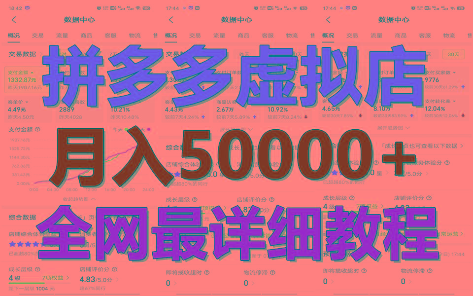 拼多多虚拟电商训练营月入50000+你也行，暴利稳定长久，副业首选-海旭网创