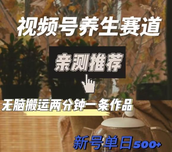 视频号养生赛道暴力掘金，无脑搬运，两分钟一条作品-新日单入500+-海旭网创