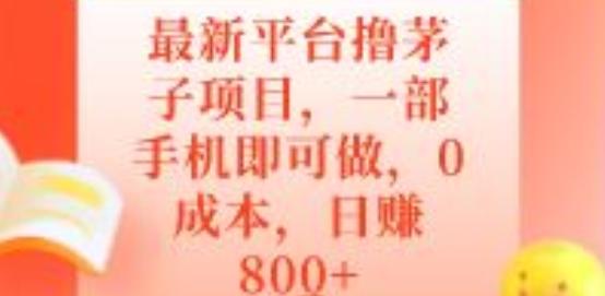 最新平台撸茅子项目，一部手机即可做，0成本，日赚800+-海旭网创