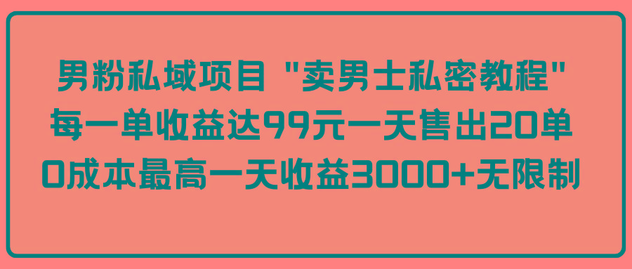 (9730期)男粉私域项目 “卖男士私密教程” 每一单收益达99元一天售出20单-海旭网创