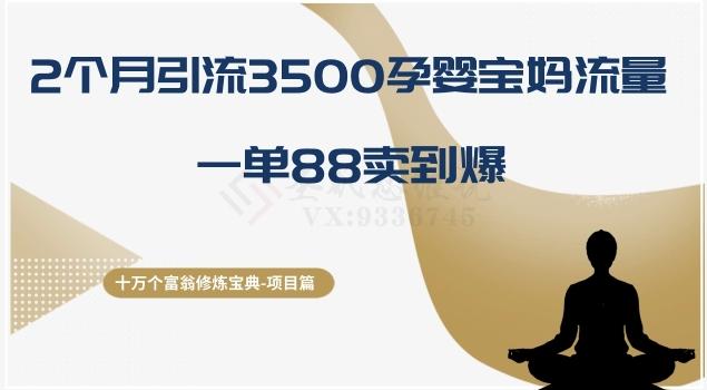 十万个富翁修炼宝典之13.2个月引流3500孕婴宝妈流量，一单88卖到爆-海旭网创