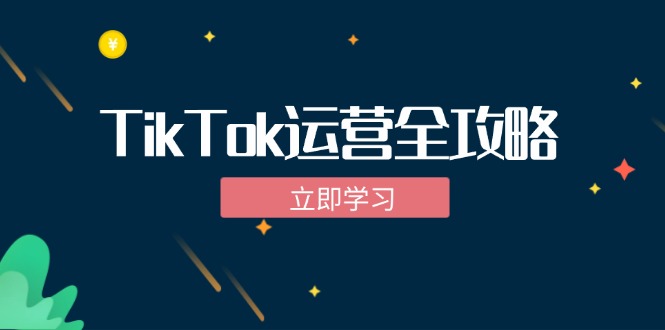 TikTok实战运营全攻略：从下载软件到变现，抖音海外版实操教程-海旭网创