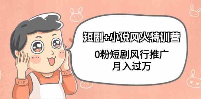 小说+短剧风火特训营，0粉短剧小说风行推广，实现月入过万-海旭网创