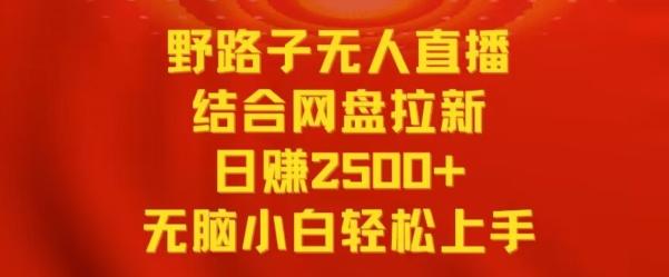 野路子无人直播结合网盘拉新，日赚2500+，小白无脑轻松上手【揭秘】-海旭网创